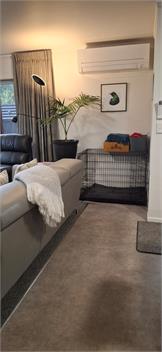 City Haven with Spa - Pets Welcome - Nelson