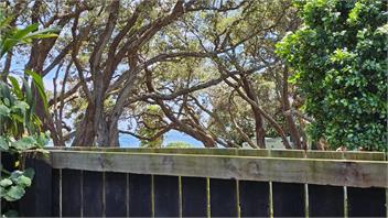 The Iconic Log Cabin by the Sea - Waihi