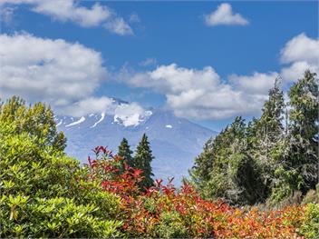 Maungatapu Studio 2 (Bachcare) - Ohakune