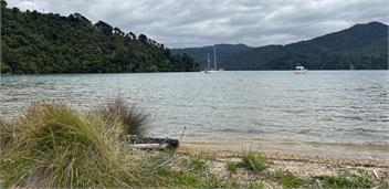 Taha Moana - Picton