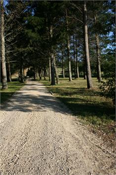Savana Estate - Hastings
