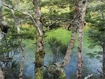Oreti River House - Lumsden