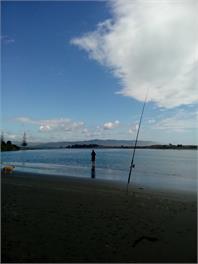 Bowen's Bush - Mahia