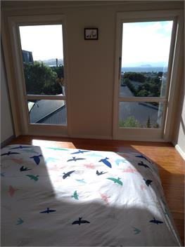 Seaviews over Seatoun - Wellington