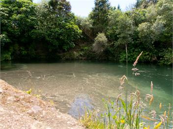 Bellbird Cottage (Bachcare) - Waitahanui
