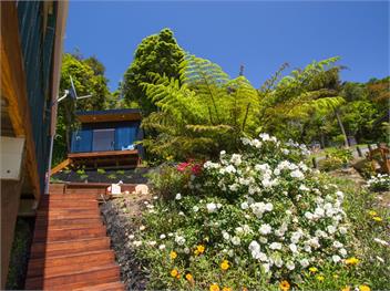 Tidal Treasure (Bachcare) - Collingwood