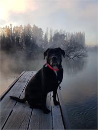 Bo's Bach - Pet Friendly - Wanaka