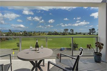 Oceanview Apartment - Beachside in Nelson - Nelson