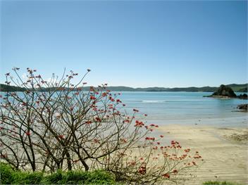 STUNNING ABSOLUTE BEACHFRONT - Whangaruru