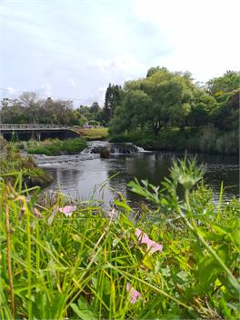 Kendall Cottage - Kerikeri