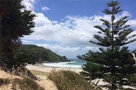 Te Arai Sanctuary - Mangawhai