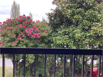 The Lake House - Rotorua District