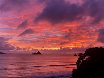 Oakura Bay Absolute-Beachfront Holiday Home - Northland