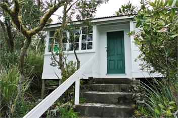 Bach 78 - Auckland