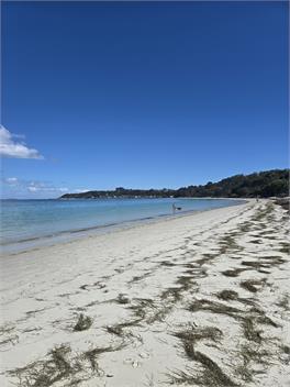 The Soak Spot - Northland