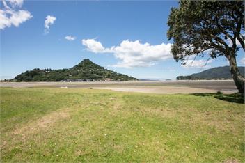 Little Beach Gem - Tairua