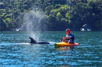 Sunshine, Peaceful and the Best Harbour Views -