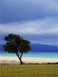 Thyme Out by the sea  - RD2 Whitianga