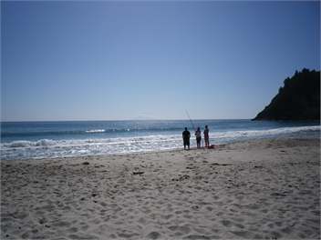 Pohutakawa Getaway -