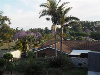 Australia Holiday House in Bulli near the beach - Sydney