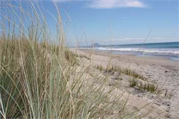 Welcome Bay Hills - Tauranga