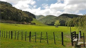Fair View Carterton-Greytown -
