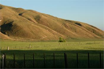 Savana Estate - Hastings
