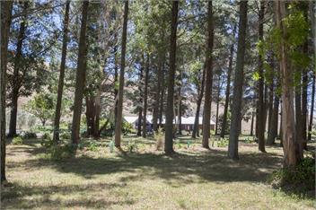 Savana Estate Chalet 2 - Hastings