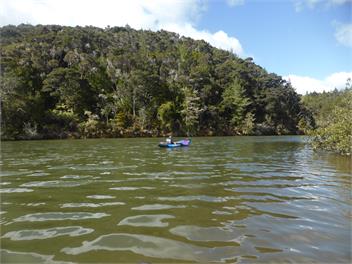 Seaviews, Cedar hot tub, Kayaking, Native Virgin bush - WHANGAREI