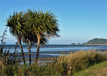Pohara Beach Retreat ~ Short or Long Term - Golden Bay