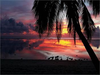 Sunset Palms Rarotonga - Garden Sea Veiw Bungalow - Rarotonga