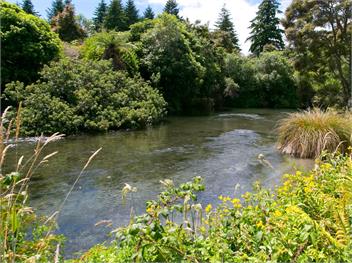 Bellbird Cottage (Bachcare) - Waitahanui