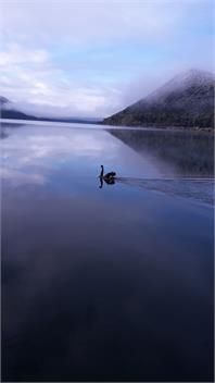 The Lake House - Nelson