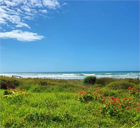 Seaside on Plantation - Ohope