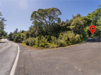 Birdsong (Bachcare) - Whangamata