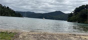Taha Moana - Picton