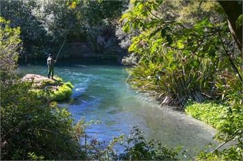 Bellbird Cottage (Bachcare) - Waitahanui