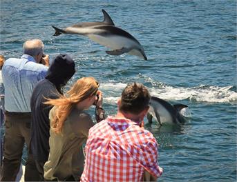 Sunshine, Peaceful and the Best Harbour Views -
