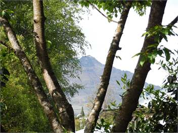 Bowen Cottage - Queenstown