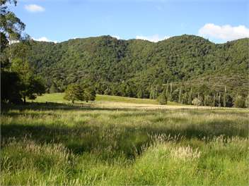 Waitotara Cottage - Kerikeri