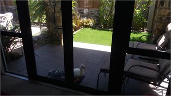 Lakes Resort Escape - Pauanui
