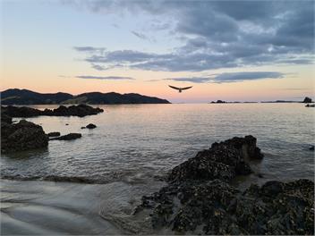 Beach Front House in Ohawini Bay, Northland / Oakura Bay - Northland