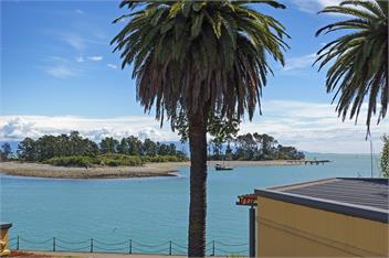 On The Rocks - Nelson Waterfront Holiday Home - Nelson