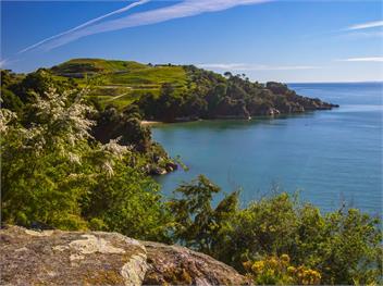 Incredible Bay Views (Bachcare) - Kaiteriteri