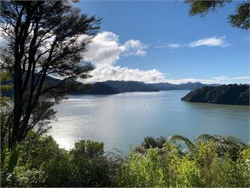 Kutakuta in Ngakuta - Picton