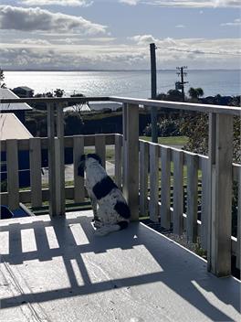 Riverton Rocks getaway - spectacular sea views and pet friendly - Riverton