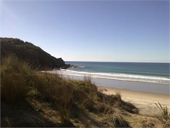 Te Arai Sanctuary - Mangawhai