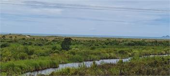 Coastal Retreat - Whakatane
