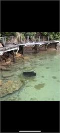 Aroha - Bythell's Bay / Spectacular Holiday Home for Families - Queen Charlotte Sound