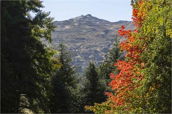 Arrow Wood | Minutes to Arrowtown, Golf & Wineries | Luxury Living - Queenstown